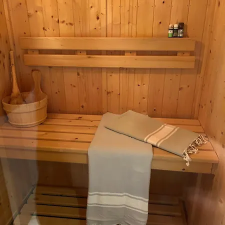 Cosy T2 Au Dore Sauna Prive Et Vue Montagne Proche Thermes *