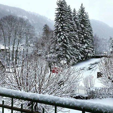 Cosy T2 Au Dore Sauna Prive Et Vue Montagne Proche Thermes