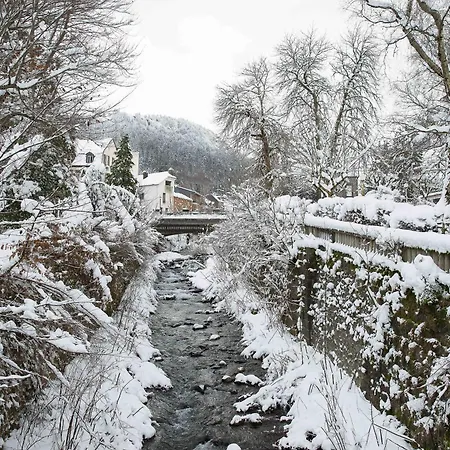 Cosy T2 Au Dore Sauna Prive Et Vue Montagne Proche Thermes Lejlighed *